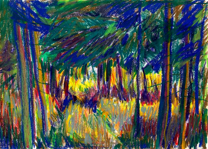 Balhary Pines, crayon drawing by John Boyle