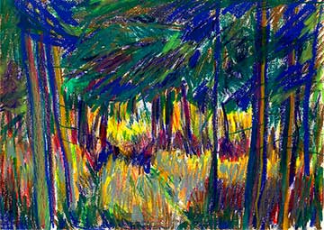Balhary Pines, Drawing by John Boyle