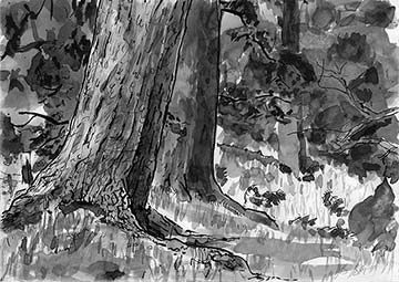 >Balhary, Drawing by John Boyle