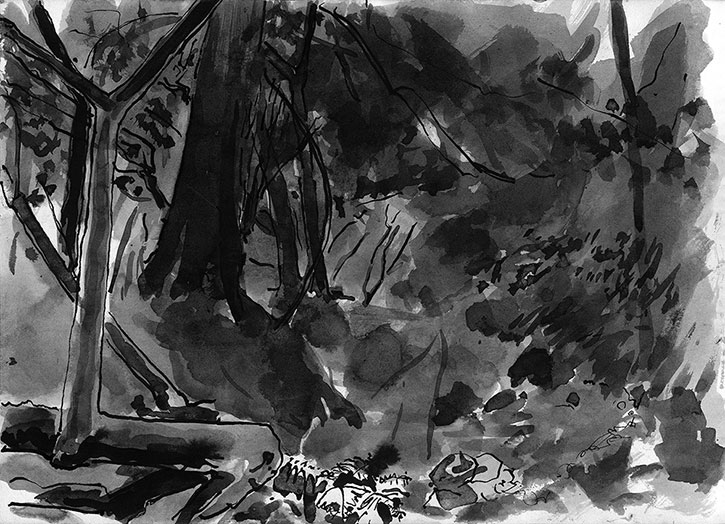 Balhary Wood, 2, ink drawing by John Boyle