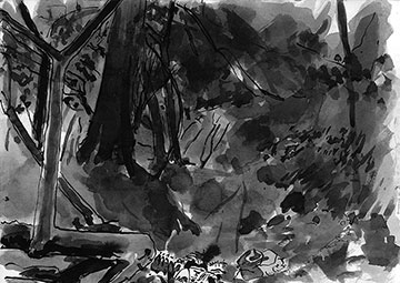 Balhary Wood, Drawing by John Boyle