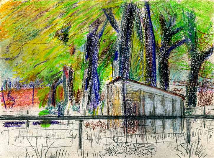 Shed, Jordanstone, crayon drawing by John Boyle