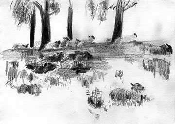 Pool, Crathie Bridge, Drawing by John Boyle