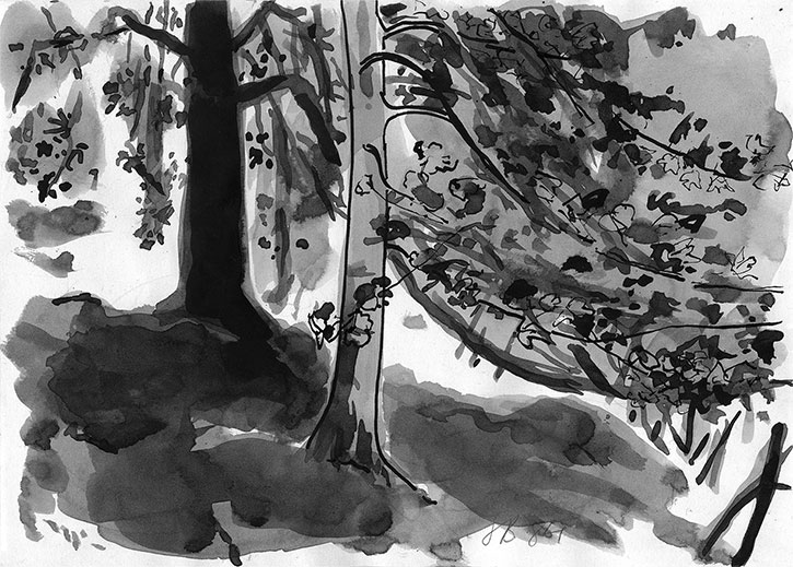 Path from Leitfie Road, ink drawing by John Boyle