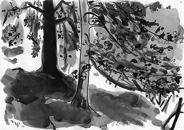 Balhary Pond, Drawing by John Boyle