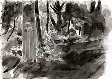 Path to Leitfie Road, Drawing by John Boyle