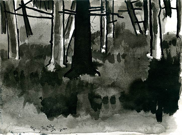 Pines, Balhary, ink drawing by John Boyle