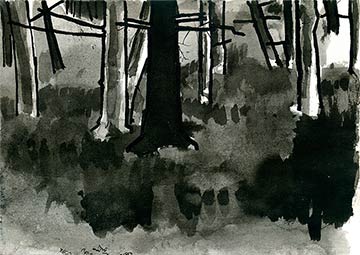 Pines, Balhary, Drawing by John Boyle