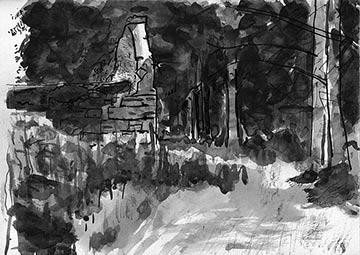 Sycamore Wood, Drawing by John Boyle
