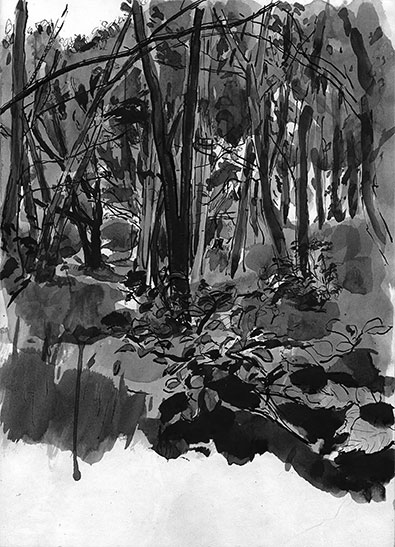 Sycamore Wood, ink drawing by John Boyle