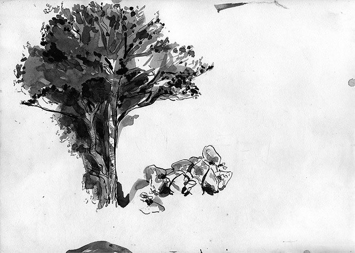 Tree and Rocks, ink drawing by John Boyle