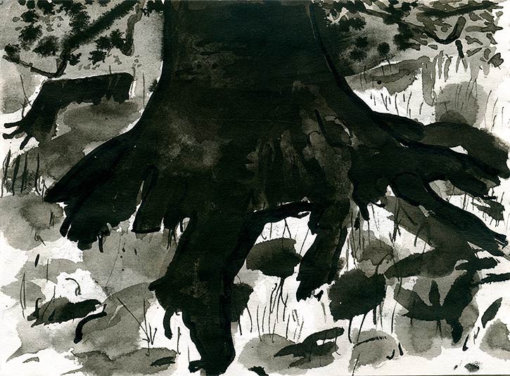 Tree Roots, Balhary, ink drawing by John Boyle