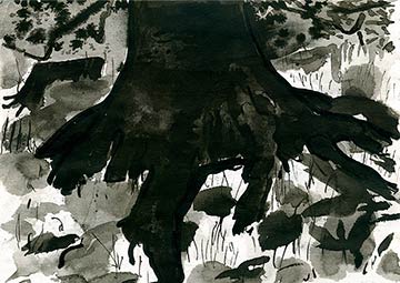 Tree Roots, Balhary, Drawing by John Boyle