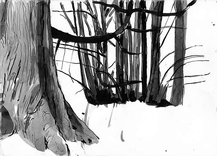 Trees Study, ink drawing by John Boyle