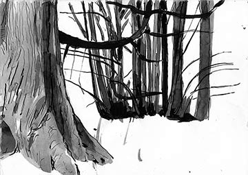 Trees Study 1, Drawing by John Boyle
